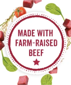 Beneful® Tuscan Style Medleys Wet Dog Food - 3 Pack -SCHLAGE Sales Store 00017800152938 CF KEYINGR GS1 JPEG