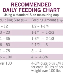 Dog Chow® Tender & Crunchy Lamb Dry Dog Food - 16.5 Lbs -SCHLAGE Sales Store 1780014905 CF FIADV GS1 JPEG