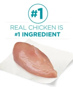 Purina ONE Purina® ONE Tender Selects Blend Chicken Dry Cat Food - 3.5 Lbs -SCHLAGE Sales Store 1780057118 CF KEYINGR GS1 JPEG