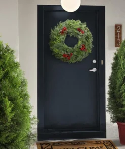 Schlage Vendite 2022 -SCHLAGE Sales Store 2211899 Schlage P SC