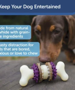 PetSafe® Busy Buddy® X-Small Treat Holding Bristle Bone® Dog Toy -SCHLAGE Sales Store BB BRI BN XS PT01