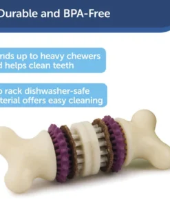 PetSafe® Busy Buddy® X-Small Treat Holding Bristle Bone® Dog Toy -SCHLAGE Sales Store BB BRI BN XS PT02