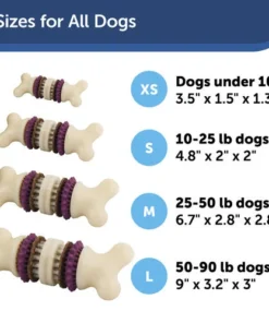 PetSafe® Busy Buddy® X-Small Treat Holding Bristle Bone® Dog Toy -SCHLAGE Sales Store BB BRI BN XS PT04