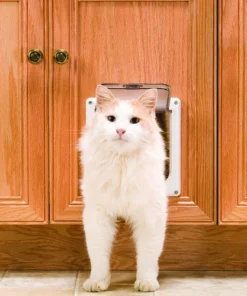 PetSafe® 5.75" X 5.75" 2-Way Locking Cat Door -SCHLAGE Sales Store CD10 050 11CatDoorScene1