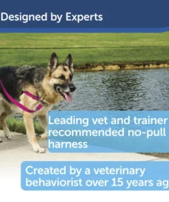 PetSafe® Easy Walk® Red/Black Harness - Large -SCHLAGE Sales Store EWH HC M BLK PT02