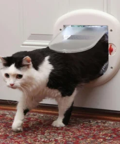 PetSafe® 7-1/8" X 7-1/2" Big Cat Door