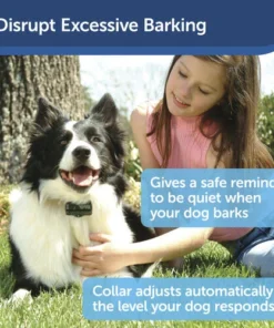 PetSafe® Basic Bark Control Dog Collar -SCHLAGE Sales Store PBC 102 PT01