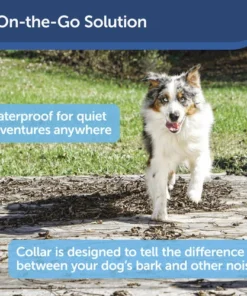 PetSafe® Basic Bark Control Dog Collar -SCHLAGE Sales Store PBC 102 PT02