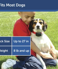 PetSafe® Basic Bark Control Dog Collar -SCHLAGE Sales Store PBC 102 PT05