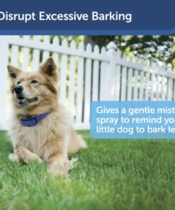 PetSafe® Elite Little Dog Spray Bark Control Dog Collar -SCHLAGE Sales Store PBC00 11283 PT01