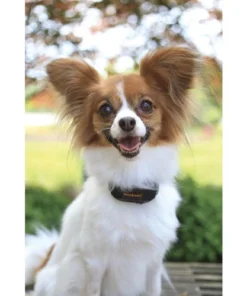 PetSafe® Vibration Bark Control Dog Collar -SCHLAGE Sales Store PBC00 12789 PT02 1