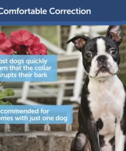 PetSafe® Ultrasonic Bark Control Dog Collar -SCHLAGE Sales Store PBC00 13925 PT04