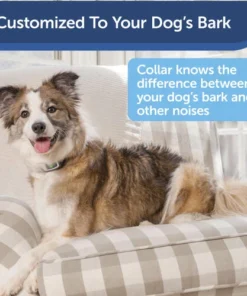 PetSafe® Citronella/Unscented Spray Bark Control Dog Collar -SCHLAGE Sales Store PBC00 16368 PT01