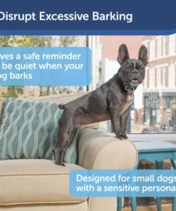 PetSafe® Lite Rechargeable Bark Dog Collar -SCHLAGE Sales Store PBC00 16446 PT01