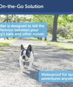 PetSafe® Lite Rechargeable Bark Dog Collar -SCHLAGE Sales Store PBC00 16446 PT02