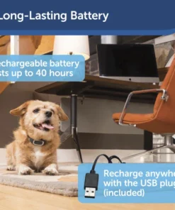 PetSafe® Lite Rechargeable Bark Dog Collar -SCHLAGE Sales Store PBC00 16446 PT04