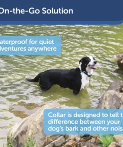 PetSafe® Bark Control Dog Collar -SCHLAGE Sales Store PBC00 16634 PT02