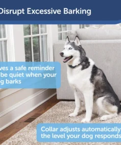 PetSafe® Bark Control Dog Collar -SCHLAGE Sales Store PBC00 16634 SC5