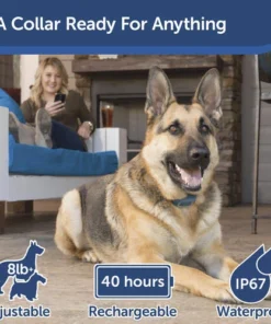 PetSafe® SMART DOG Trainer Dog Collar -SCHLAGE Sales Store PDT00 15748 PT03