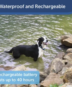 PetSafe® 300 Yard Lite Remote Trainer Dog Collar -SCHLAGE Sales Store PDT00 16024 PT04