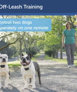 PetSafe® 300 Yard Lite Remote Trainer Dog Collar -SCHLAGE Sales Store PDT00 16024 PT05