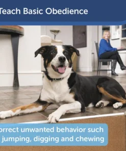 PetSafe® 100 Yard Remote Trainer Dog Collar -SCHLAGE Sales Store PDT00 16126 PT01