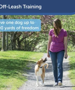 PetSafe® 100 Yard Remote Trainer Dog Collar -SCHLAGE Sales Store PDT00 16126 PT05