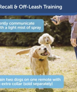 PetSafe® Remote Spray Trainer Dog Collar -SCHLAGE Sales Store PDT00 16395 PT02