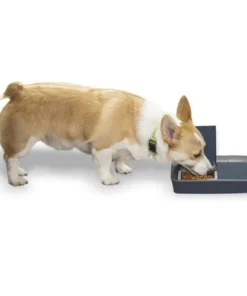 PetSafe® Digital Two Meal Pet Feeder -SCHLAGE Sales Store PFD00 15426 PT06