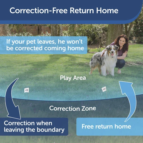 PetSafe® Stay & Play® Wireless Pet Containment System 4 PetSafe® Stay & Play® Wireless Pet Containment System - Image 2