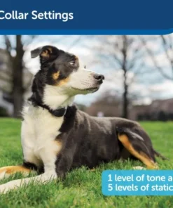 PetSafe® Stay & Play® Wireless Pet Containment System 15 PetSafe® Stay & Play® Wireless Pet Containment System -SCHLAGE Sales Store PIF00 12917 PT04