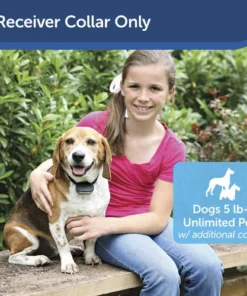 PetSafe® Rechargeable In-Ground Pet Fence Receiver W/Charger -SCHLAGE Sales Store PIG00 13737 PT01