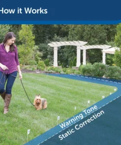 PetSafe® Basic In-Ground Pet Fence -SCHLAGE Sales Store PIG00 14582 PT02