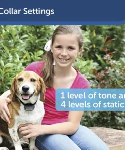 PetSafe® Rechargeable In-Ground Pet Fence -SCHLAGE Sales Store PIG00 14673 PT04