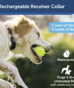 PetSafe® YardMax® Cordless In-Ground Pet Containment System -SCHLAGE Sales Store PIG00 15958 PT04