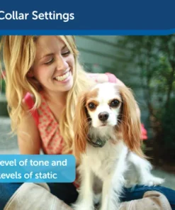 PetSafe® Elite Little Dog In-Ground Pet Fence -SCHLAGE Sales Store PIG20 11041 PT04