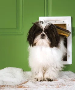 PetSafe® Small White Extreme Weather Pet Door - 5.12" X 8.75" -SCHLAGE Sales Store PPA00 10984SMExtremeWeatherPetDoorScene1