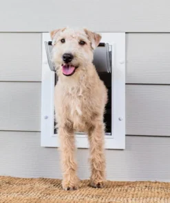 PetSafe® 8.25" X 11.25" Medium Wall Entry Pet Door