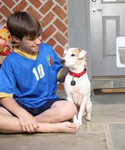 PetSafe® SmartDoor Small White Electronic Pet Door - 5.5" X 7.75" -SCHLAGE Sales Store PPA11 10711SmartDoorScene2