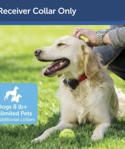 PetSafe® In-Ground Stubborn Pet Fence Receiver Dog Collar -SCHLAGE Sales Store PRF 275 19 PT01
