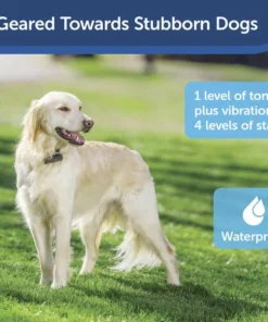 PetSafe® In-Ground Stubborn Pet Fence Receiver Dog Collar -SCHLAGE Sales Store PRF 275 19 PT04