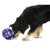 PetSafe® Busy Buddy® Kibble Nibble Dog Toy 2 PetSafe® Busy Buddy® Kibble Nibble Dog Toy -SCHLAGE Sales Store PTY00 13738 MAIN