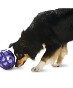 PetSafe® Busy Buddy® Kibble Nibble Dog Toy