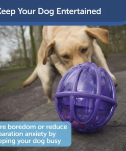 PetSafe® Busy Buddy® Kibble Nibble Dog Toy -SCHLAGE Sales Store PTY00 13738 PT03