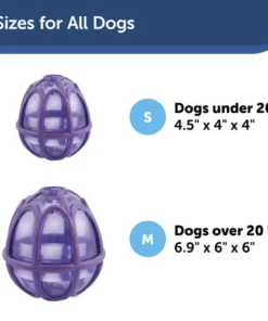 PetSafe® Busy Buddy® Kibble Nibble Dog Toy -SCHLAGE Sales Store PTY00 13738 PT05