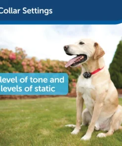 PetSafe® Deluxe UltraLight Pet Fence Receiver Dog Collar -SCHLAGE Sales Store PUL 275 PT03