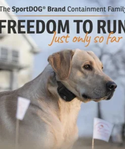 SportDOG PetSafe® Rechargeable In-Ground Pet Fence System -SCHLAGE Sales Store SDF 100C PT06